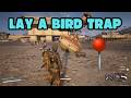 ARC Raiders : Lay a Bird Trap Quest (Quick Guide)
