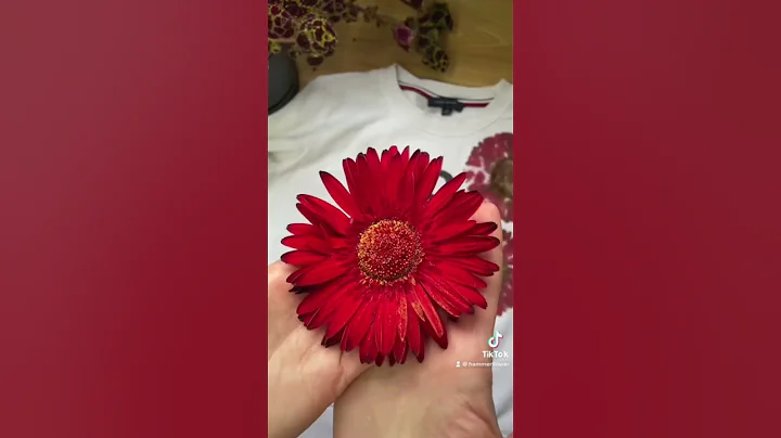 Gerbera eco print 🔨🌺♥️