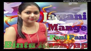 Dj Mix Jawani Mange Pani Pani Full Dance Remix bintu kashyap