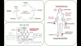 Clinical Uses of Fluoroquinolones Antibiotics Drugs screenshot 5