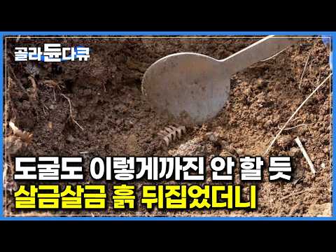 땅 위에서는 절대 보이지 않아 하나하나 깊숙이 파봐야 한다는데, 사람의 손길 닿지 않은 산속에서 보약 찾기｜<strong>참마</strong>｜극한직업｜#골라듄다큐