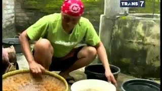 Jejak si gundul - Bakpia salak,Tempenyol Bantul,Adrem Buah Mangrove