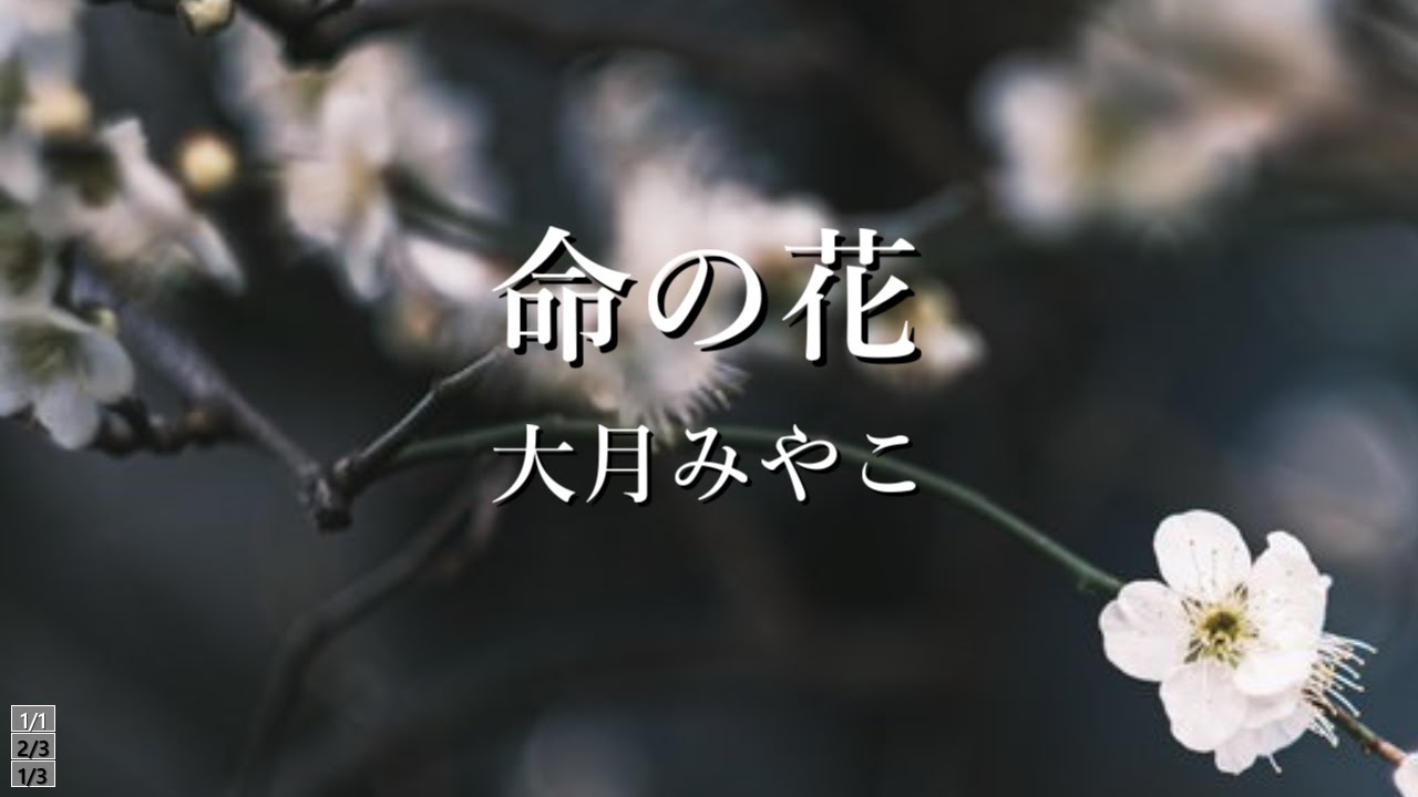 命の花　大月みやこ
