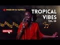 Tropical Vibes Vol. 03 By Dj Kaprico