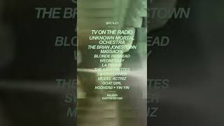 Blonde Redhead x LEVITATION 2025!
