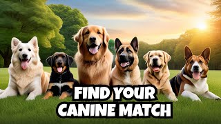 Top Dog Breeds: Find Your Perfect Canine Companion