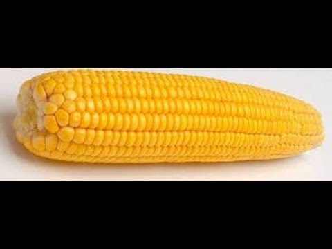 Кукуруза после заморозки