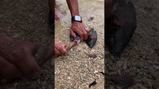 😳 What Was Hiding Inside This Fish's Mouth? 🐟🔥