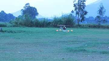 T-Rex 250 DFC Hover Flight