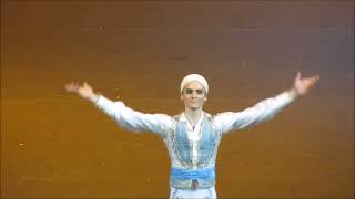 Le Corsaire (extracts) - Bolshoi 2016