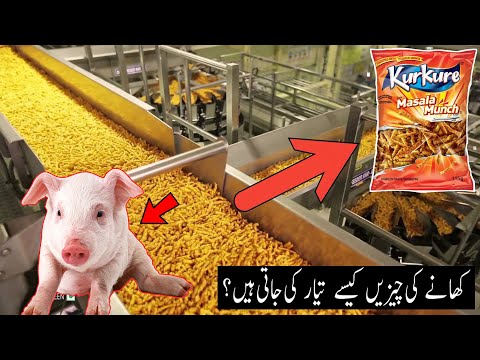 5 Incredible Food Manufacturing Machines Urdu/Hindi  فیکٹریوں میں کھانے کی چیزیں بنانے کی عجیب و غر