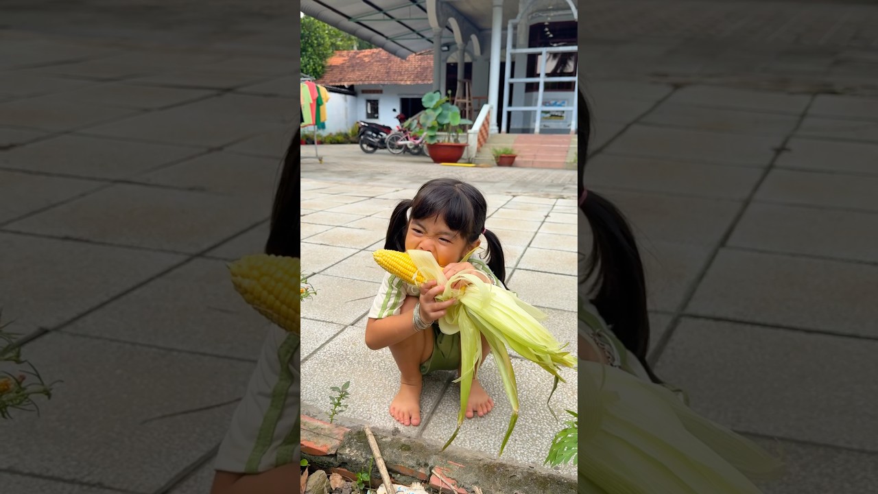 L&agrave;m b&aacute;nh cho Ngộ/kỳanh-n&egrave;#shortvideo #kykytv