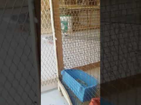 حمام صنعاوي الرياض بن دخيل 0532388857