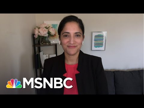 Dr. Kavita Patel: I Want Everyone To Think Every Rethink Their Holiday Plans | Craig Melvin | MSNBC