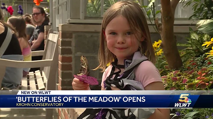 Krohn Conservatory Butterflies Return VO