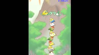 つみインコ 目指せ20積みインコ!