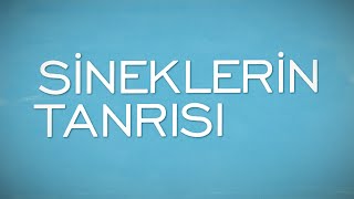 Sineklerin Tanrısı