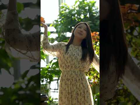 🚩 쇼츠각 OK~ #유튜브 #쇼츠 #영상 #감성 #제천아열대스마트온실