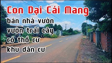 CON DẠI CÁI MANG ! cô thư quyết định giảm giá bán nhà vườn để trả nợ cho con cái ở bà rịa vũng tàu