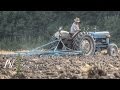 Fordson Super Dexta + Guggenbauer Zinkenegge - Saatbettbereitung · seedbed preperation