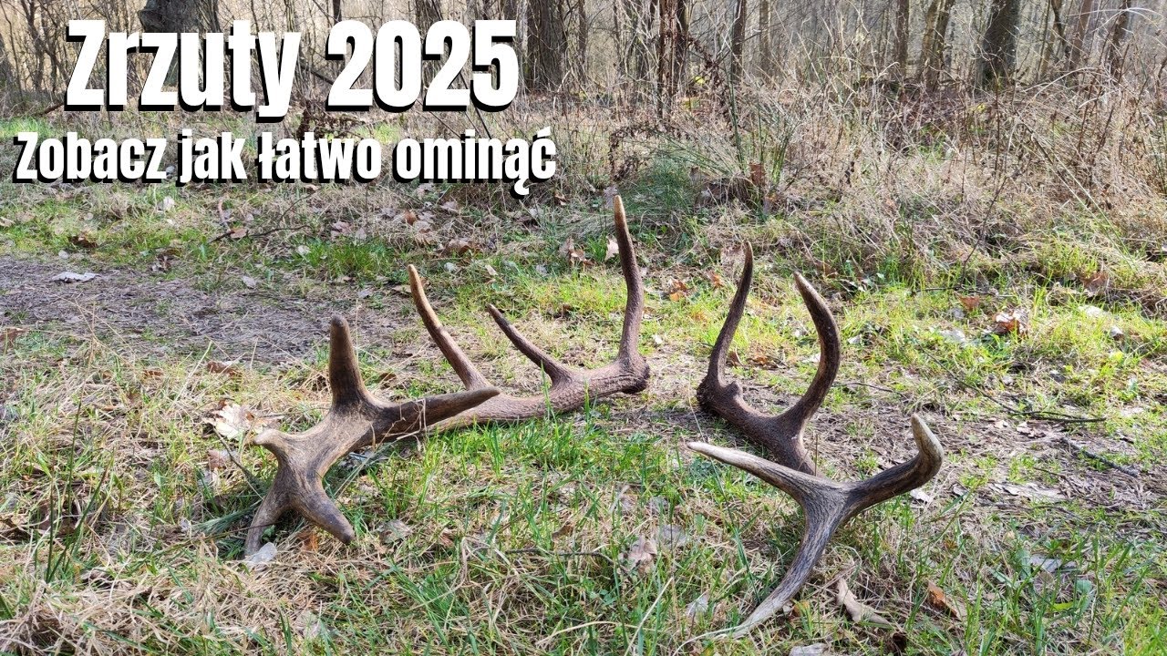 Piękny 16-stak i 12-stak obok siebie i nie do pary. Dobrze zakamuflowane #zrzuty2025 #zrzuty #zhody