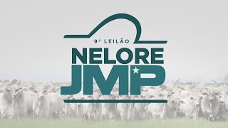 LOTE 215