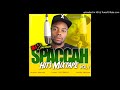 SPACCAH - HITS MIXTAPE - MIXED BY DJ LINCMAN  263778866287 (YOUTUBE)