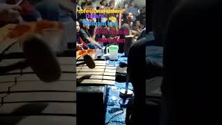 Profesional Dalm Memainkan Alat Muslk Ga Melan. Resimi