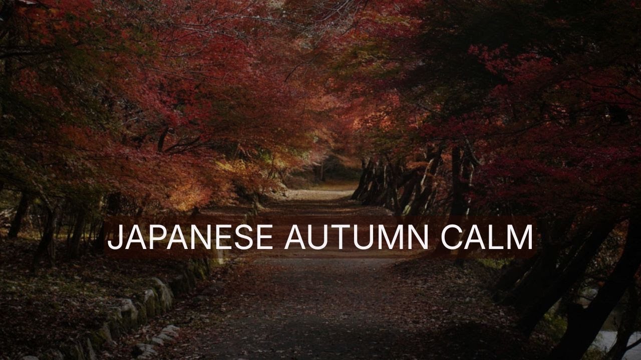Japanese Autumn Calm • 50 Minutes of Warm Ambient Pads