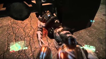 Crysis 2 - Bug Moments