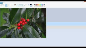 Resize Images For Web Using Paint