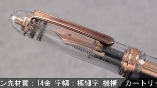PLATINUM プラチナ 万年筆 ナガサワオリジナル #3776 センチュリー