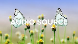 Markvard - Spring [Copyright Free Vlog Music]