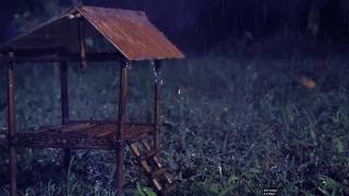 Heavy Rain in a Wooden Hut 🌧️ Frog Sounds at Night | Fall Asleep Fast