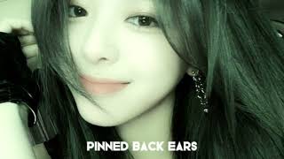 pinn3d back ears.