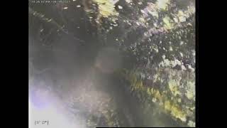 6Ad9D14E 324C 4D84 9Da7 2E4768D4A6Db