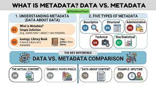 Data vs Information | The Key Differences Explained (With Examples)
