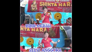 Download lagu Bibir Merah - Selvi Anggora - SHINTA NARA