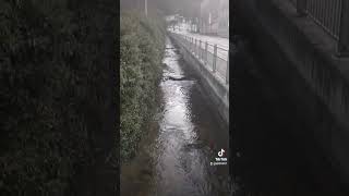 🇨🇭 Baselland, Waldenburg