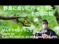 野鳥に会いにお山に行ってきた…その後の話