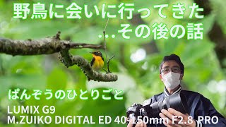 野鳥に会いにお山に行ってきた…その後の話