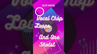 Vocal Chop Loops And One Shots Demo