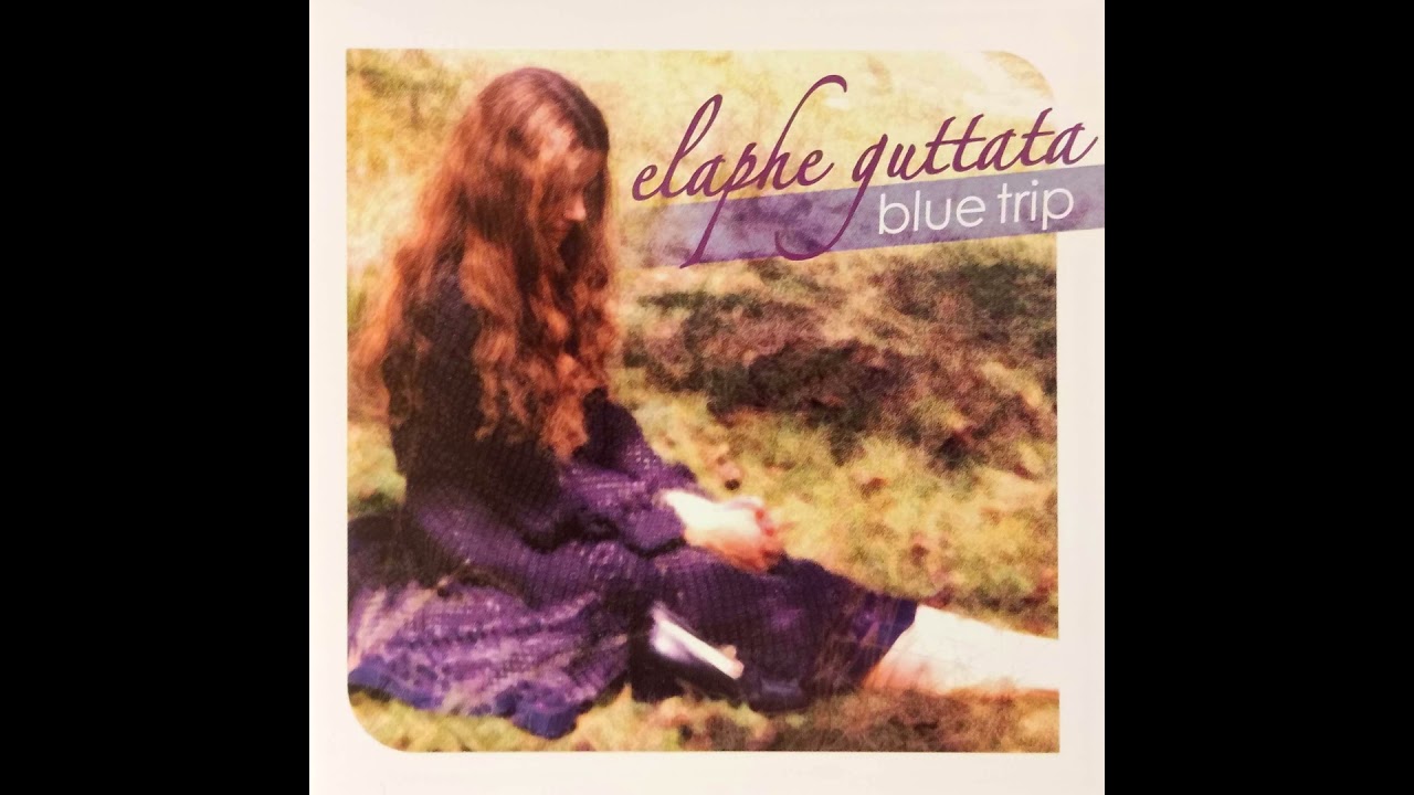 在 YouTube 上观看 Elaphe Guttata - If She
