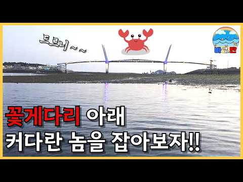 드르니항 해루질 꽃게다리 아래 수초를 샅샅히 뒤져보자!