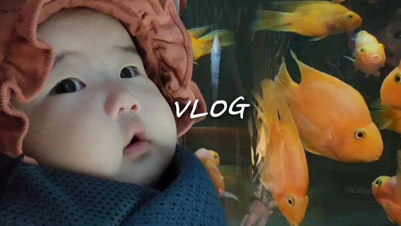 [육아vlog] 4개월아기 | 아쿠아리움 | 뒤집기지옥 | 앞보기