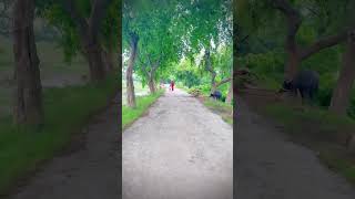 Yah Ek ki video hai shorts video #soft 😄🤟 screenshot 3