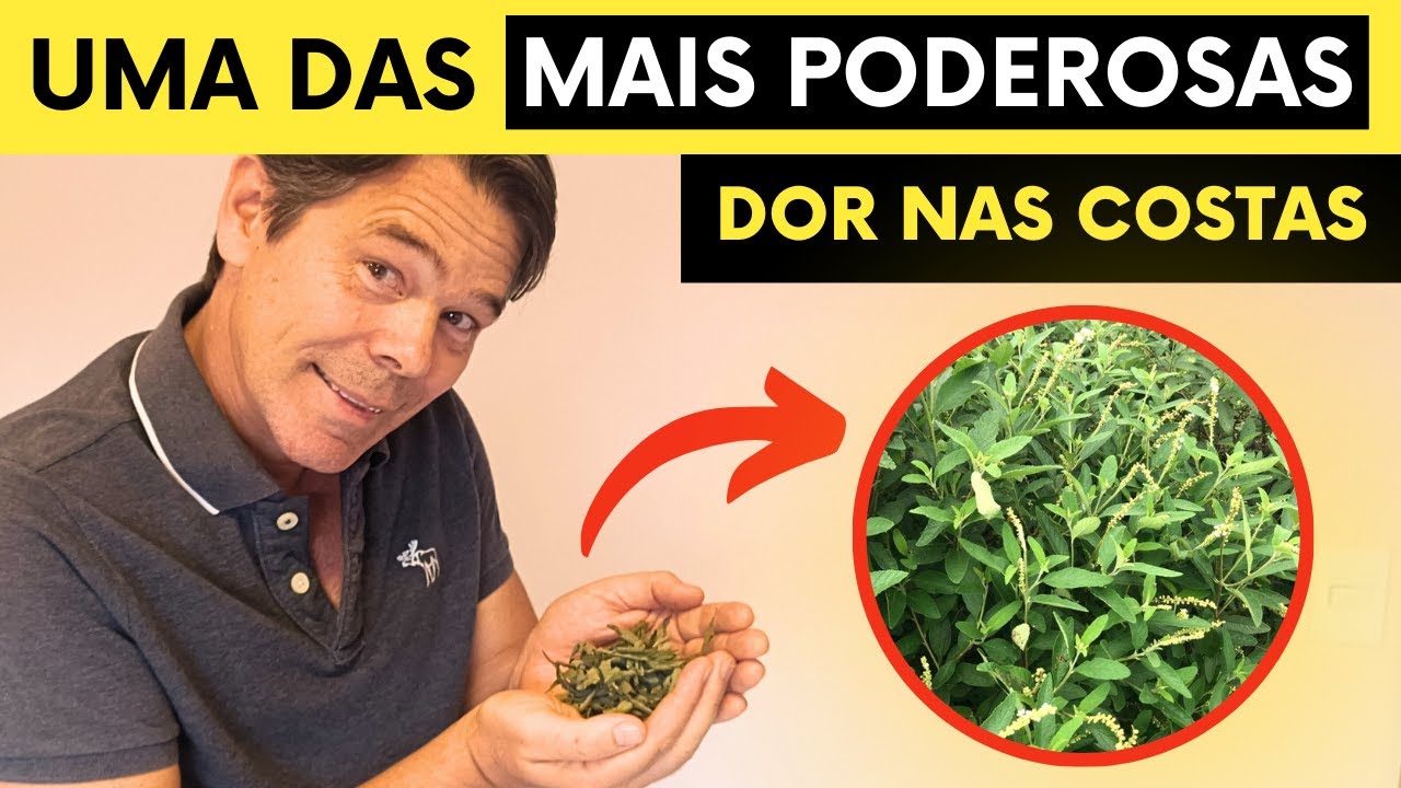 Incrível Erva para Artrose, Dor nas Costas, Fibromialgia, Artrite - COMO USAR | Marcelo Garcia