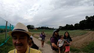 My family went to peach picking at Parlee Farms 08\/14\/2019