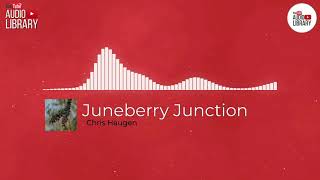 Juneberry Junction Chris HAUGEN 🎼 [ No Copyright Music ] ✅