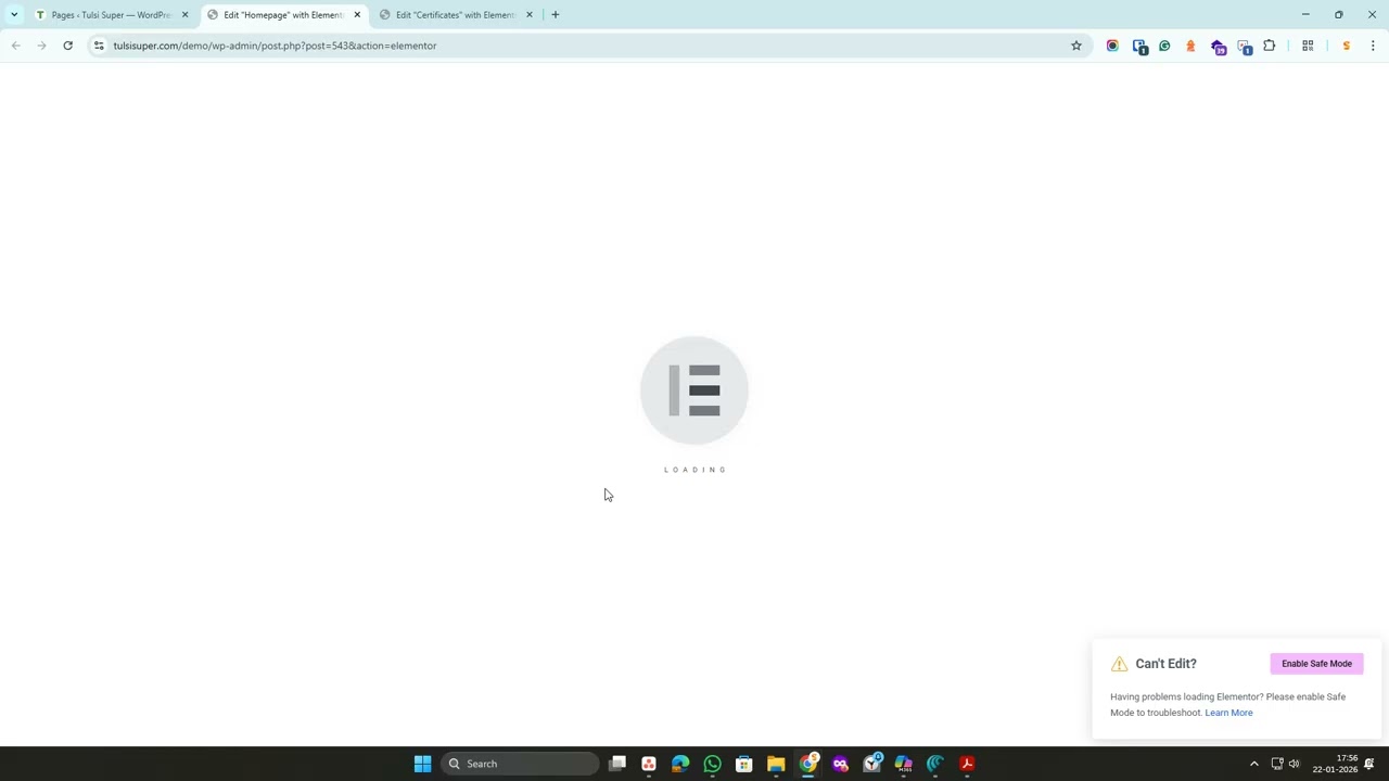Elementor pro plugin is not working